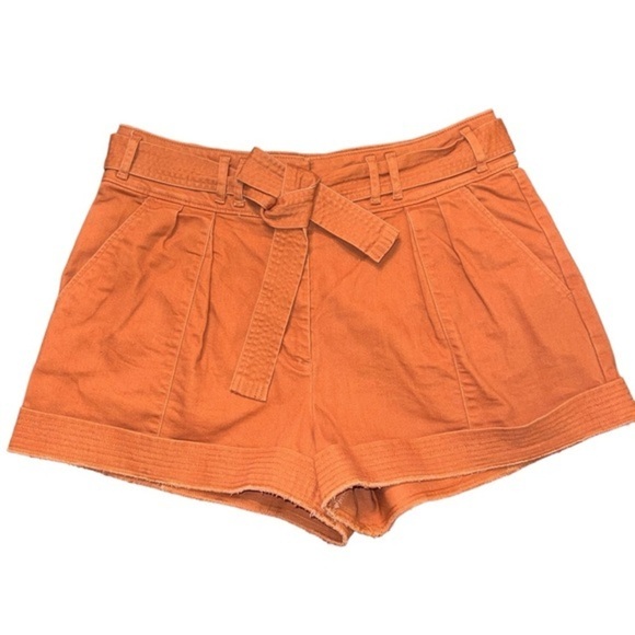 EUC Ryegrass Trapunto High Waist Tie Belt Twill Pleated Shorts Burnt Orange 12 - Picture 1 of 6